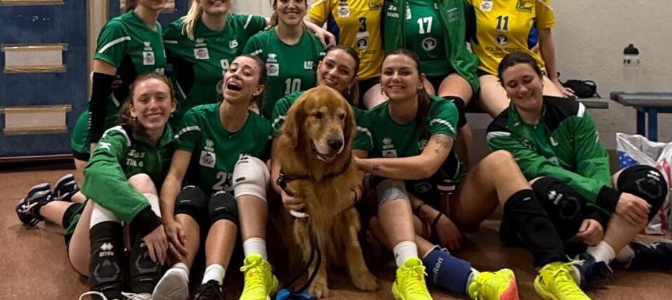 🦁&nbsp;Le Leonesse ruggiscono ancora: vittoria schiacciante per 3-0!&nbsp;🦁